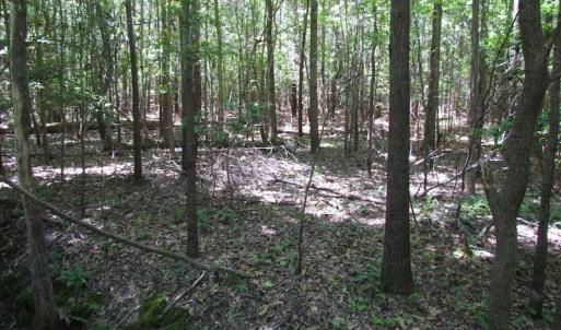 Photo of SOLD!  276 Acres of Farm and Hunting Land For Sale in Prince George County VA!