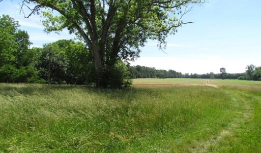 Photo of SOLD!  276 Acres of Farm and Hunting Land For Sale in Prince George County VA!