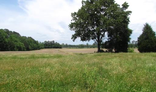 Photo of SOLD!  276 Acres of Farm and Hunting Land For Sale in Prince George County VA!