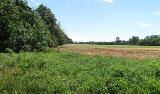 Photo of SOLD!  276 Acres of Farm and Hunting Land For Sale in Prince George County VA!