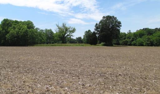 Photo of SOLD!  276 Acres of Farm and Hunting Land For Sale in Prince George County VA!