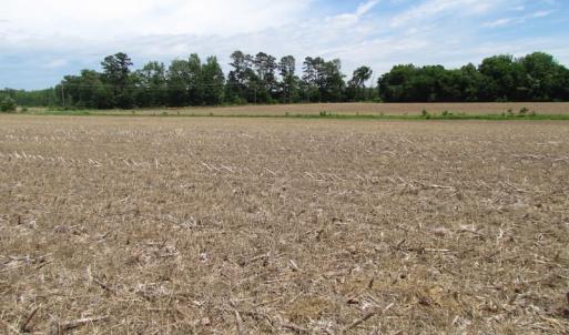 Photo of SOLD!  276 Acres of Farm and Hunting Land For Sale in Prince George County VA!