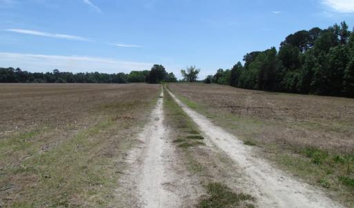 Photo of SOLD!  276 Acres of Farm and Hunting Land For Sale in Prince George County VA!