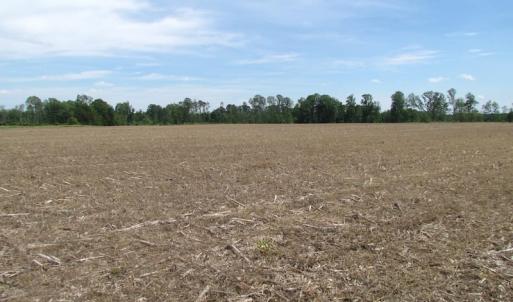 Photo of SOLD!  276 Acres of Farm and Hunting Land For Sale in Prince George County VA!