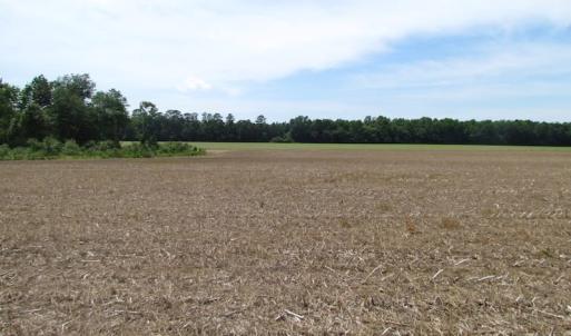 Photo of SOLD!  276 Acres of Farm and Hunting Land For Sale in Prince George County VA!