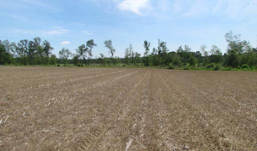 Photo of SOLD!  276 Acres of Farm and Hunting Land For Sale in Prince George County VA!