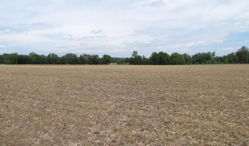 Photo of SOLD!  276 Acres of Farm and Hunting Land For Sale in Prince George County VA!