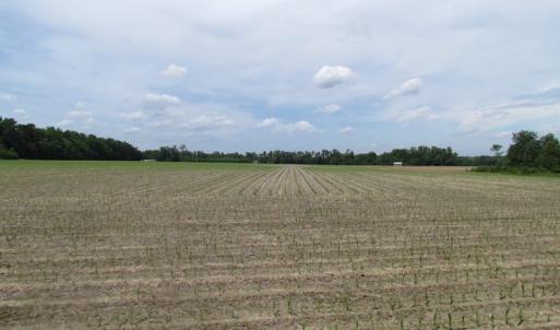 Photo of SOLD!  276 Acres of Farm and Hunting Land For Sale in Prince George County VA!