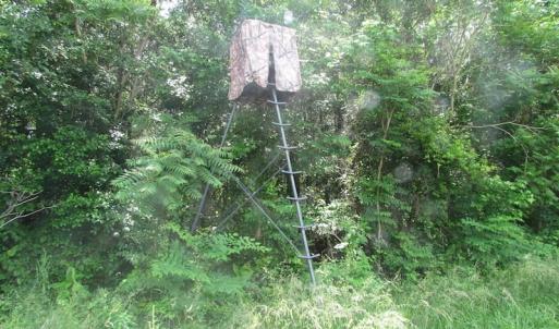 Photo of SOLD!  276 Acres of Farm and Hunting Land For Sale in Prince George County VA!