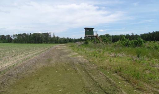 Photo of SOLD!  276 Acres of Farm and Hunting Land For Sale in Prince George County VA!