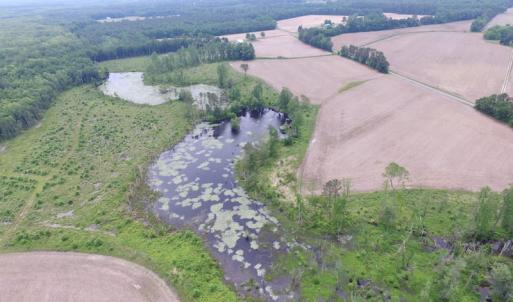 Photo of UNDER CONTRACT!  170 Acres of Farm and Hunting Land with Pond For Sale in Prince George County VA!