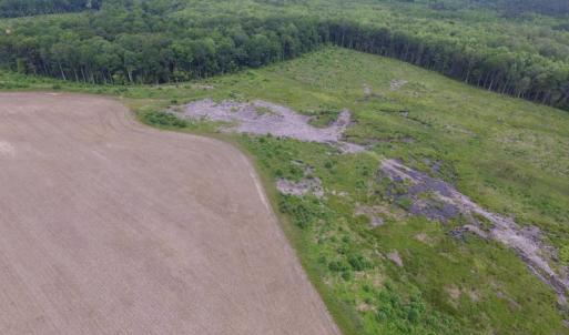 Photo of UNDER CONTRACT!  170 Acres of Farm and Hunting Land with Pond For Sale in Prince George County VA!
