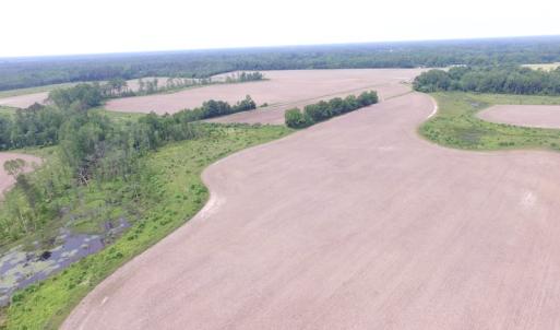 Photo of UNDER CONTRACT!  170 Acres of Farm and Hunting Land with Pond For Sale in Prince George County VA!