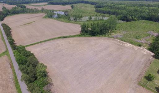 Photo of UNDER CONTRACT!  170 Acres of Farm and Hunting Land with Pond For Sale in Prince George County VA!