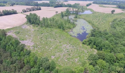 Photo of UNDER CONTRACT!  170 Acres of Farm and Hunting Land with Pond For Sale in Prince George County VA!