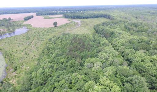 Photo of UNDER CONTRACT!  170 Acres of Farm and Hunting Land with Pond For Sale in Prince George County VA!
