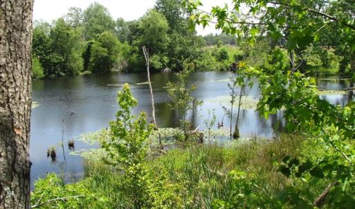 Photo of UNDER CONTRACT!  170 Acres of Farm and Hunting Land with Pond For Sale in Prince George County VA!