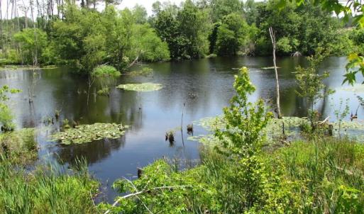 Photo of UNDER CONTRACT!  170 Acres of Farm and Hunting Land with Pond For Sale in Prince George County VA!