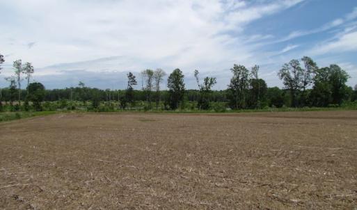 Photo of UNDER CONTRACT!  170 Acres of Farm and Hunting Land with Pond For Sale in Prince George County VA!