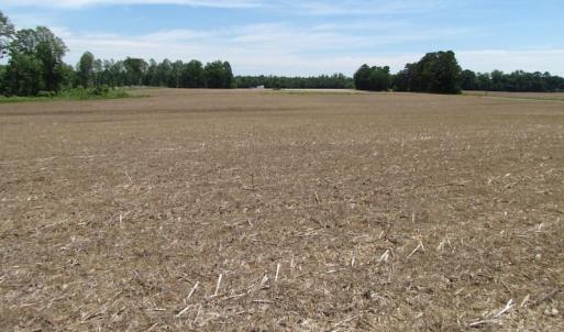 Photo of UNDER CONTRACT!  170 Acres of Farm and Hunting Land with Pond For Sale in Prince George County VA!