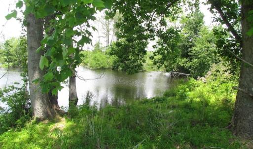 Photo of UNDER CONTRACT!  170 Acres of Farm and Hunting Land with Pond For Sale in Prince George County VA!