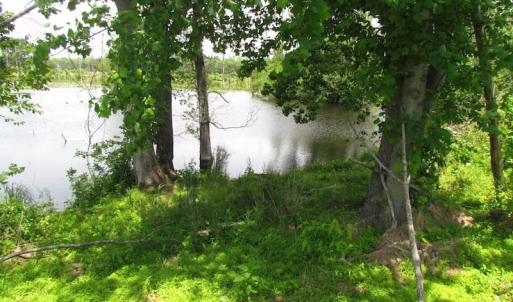 Photo of UNDER CONTRACT!  170 Acres of Farm and Hunting Land with Pond For Sale in Prince George County VA!