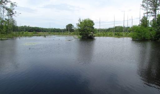 Photo of UNDER CONTRACT!  170 Acres of Farm and Hunting Land with Pond For Sale in Prince George County VA!