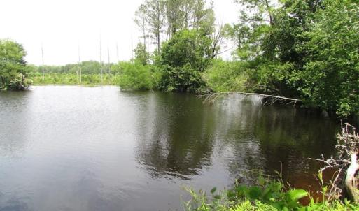 Photo of UNDER CONTRACT!  170 Acres of Farm and Hunting Land with Pond For Sale in Prince George County VA!