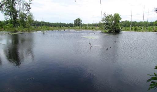 Photo of UNDER CONTRACT!  170 Acres of Farm and Hunting Land with Pond For Sale in Prince George County VA!