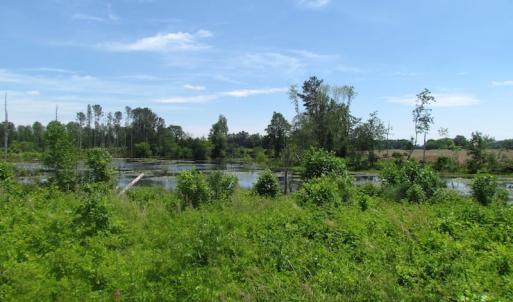 Photo of UNDER CONTRACT!  170 Acres of Farm and Hunting Land with Pond For Sale in Prince George County VA!