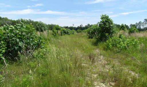 Photo of UNDER CONTRACT!  170 Acres of Farm and Hunting Land with Pond For Sale in Prince George County VA!