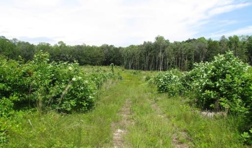 Photo of UNDER CONTRACT!  170 Acres of Farm and Hunting Land with Pond For Sale in Prince George County VA!