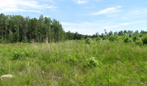 Photo of UNDER CONTRACT!  170 Acres of Farm and Hunting Land with Pond For Sale in Prince George County VA!