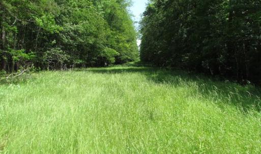 Photo of UNDER CONTRACT!  170 Acres of Farm and Hunting Land with Pond For Sale in Prince George County VA!