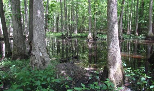 Photo of UNDER CONTRACT!  170 Acres of Farm and Hunting Land with Pond For Sale in Prince George County VA!