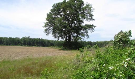 Photo of UNDER CONTRACT!  170 Acres of Farm and Hunting Land with Pond For Sale in Prince George County VA!