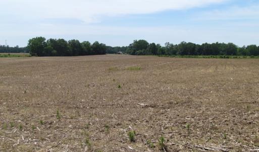 Photo of UNDER CONTRACT!  170 Acres of Farm and Hunting Land with Pond For Sale in Prince George County VA!