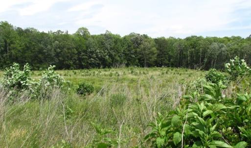 Photo of UNDER CONTRACT!  170 Acres of Farm and Hunting Land with Pond For Sale in Prince George County VA!