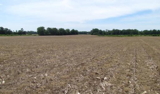 Photo of UNDER CONTRACT!  170 Acres of Farm and Hunting Land with Pond For Sale in Prince George County VA!