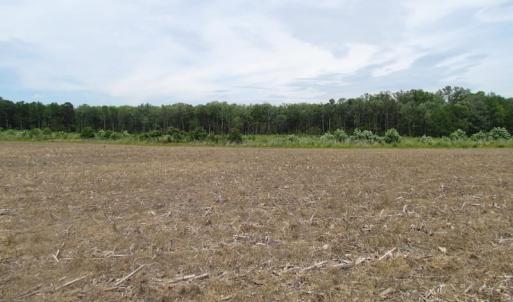 Photo of UNDER CONTRACT!  170 Acres of Farm and Hunting Land with Pond For Sale in Prince George County VA!