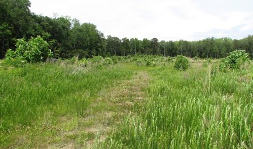 Photo of UNDER CONTRACT!  170 Acres of Farm and Hunting Land with Pond For Sale in Prince George County VA!