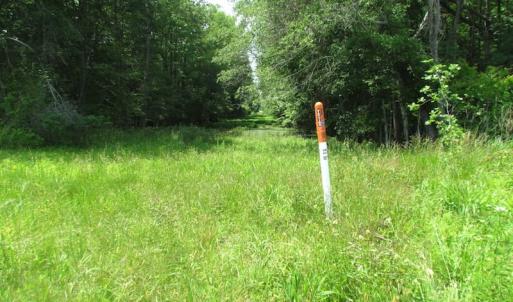 Photo of UNDER CONTRACT!  170 Acres of Farm and Hunting Land with Pond For Sale in Prince George County VA!