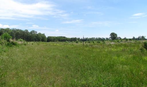 Photo of UNDER CONTRACT!  170 Acres of Farm and Hunting Land with Pond For Sale in Prince George County VA!