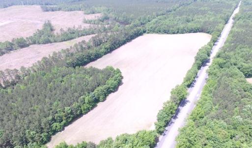 Photo of SOLD!!!  40 Acres of Farm and Hunting Land For Sale in Prince George County VA!