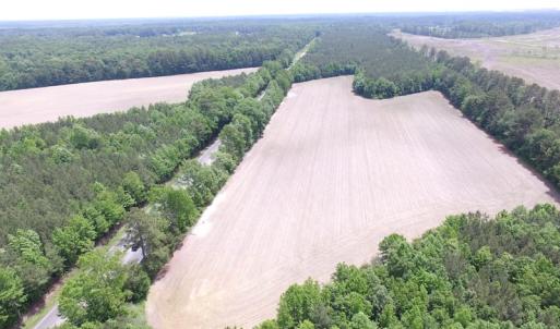 Photo of SOLD!!!  40 Acres of Farm and Hunting Land For Sale in Prince George County VA!
