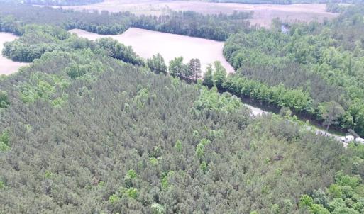 Photo of SOLD!!!  40 Acres of Farm and Hunting Land For Sale in Prince George County VA!