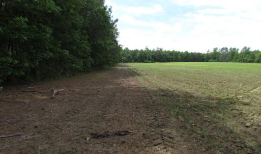 Photo of SOLD!!!  40 Acres of Farm and Hunting Land For Sale in Prince George County VA!