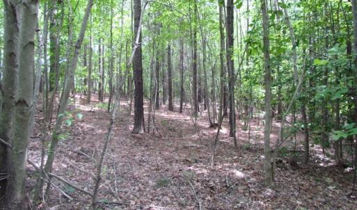 Photo of SOLD!!!  40 Acres of Farm and Hunting Land For Sale in Prince George County VA!