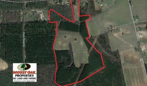 Photo of SOLD!  80 Acres of Farm and Timber Land for Sale in Pitt County NC!