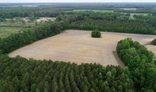 Photo of SOLD!  80 Acres of Farm and Timber Land for Sale in Pitt County NC!